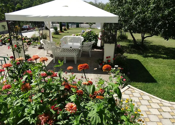 Kamelia Maison d'hôtes