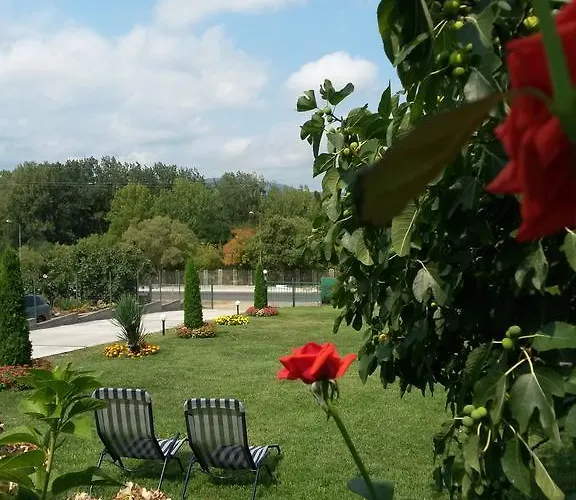 Maison d'hôtes Kamelia 4*