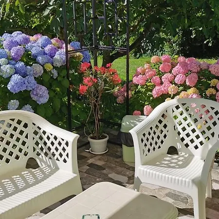 Casa de hóspedes Kamelia 4*