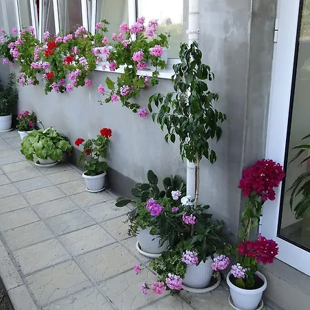 Kamelia Casa de hóspedes Ahtopol