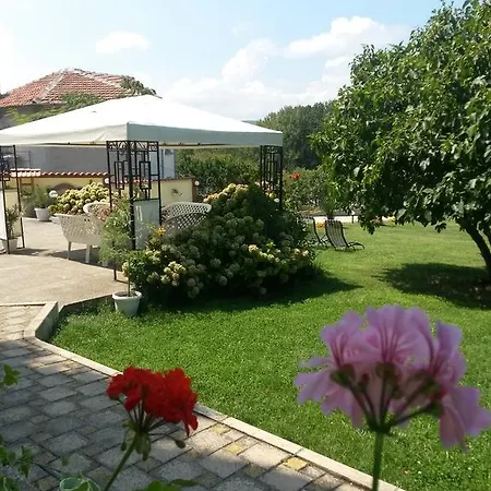 Penzion Kamelia 4*