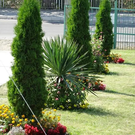 Casa de hóspedes Kamelia