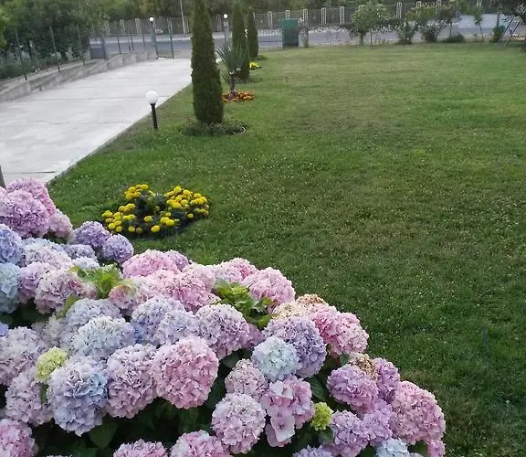 בית הארחה Kamelia אקהטופול