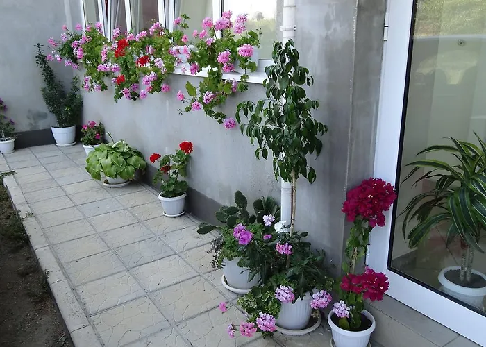 Kamelia Gasthuis Ahtopol